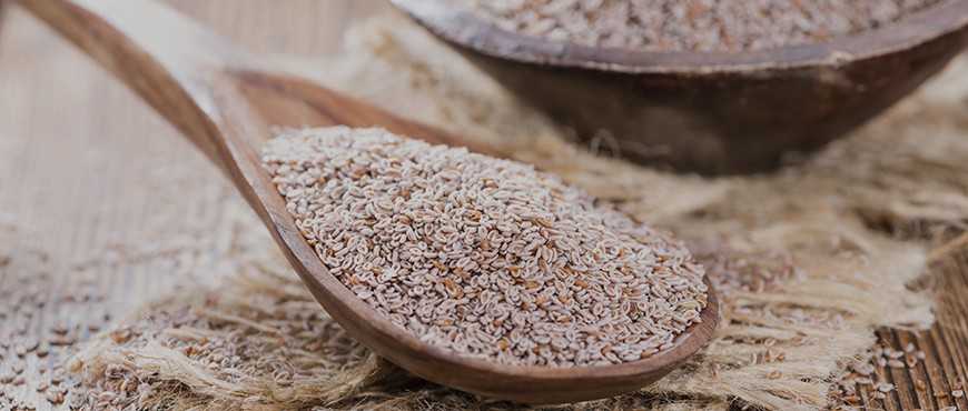 Organic Psyllium