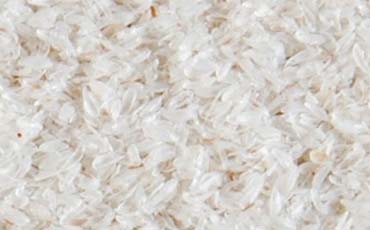 Organic Psyllium Husk