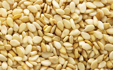 Organic Sesame Seeds